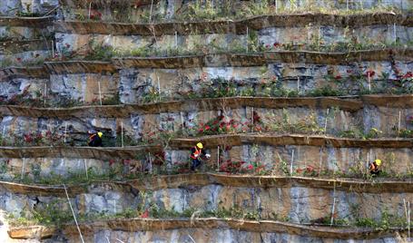 冶建公司項(xiàng)目拍出金獎